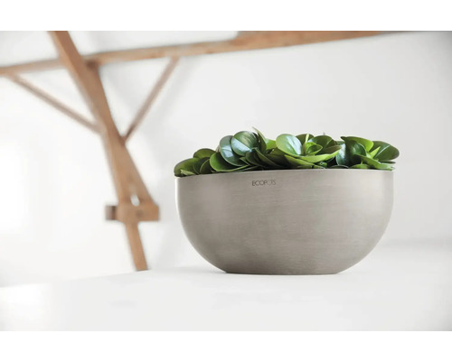 Plastová nádoba na rostliny se zelenými rostlinami