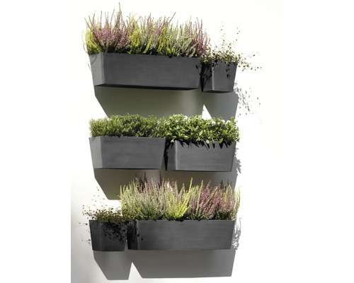Vertikální zahrada s několika truhlíky a výsadbou na zdi