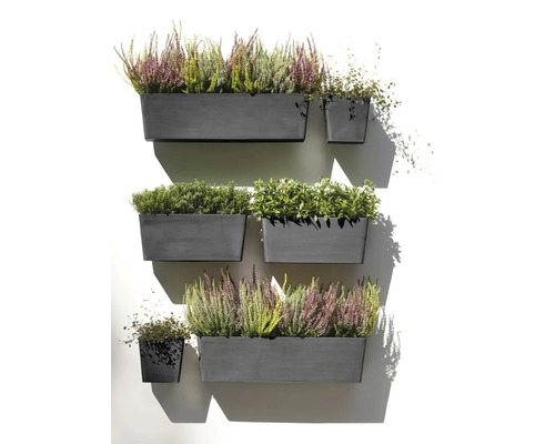 Stěna s osázenými truhlíky a květináči s různými rostlinami