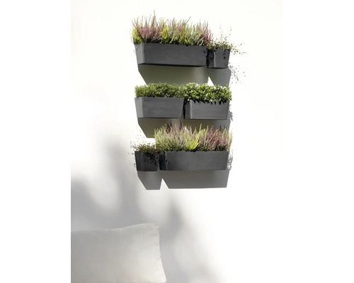 Nástěnné osázení s rostlinami v několika květináčích