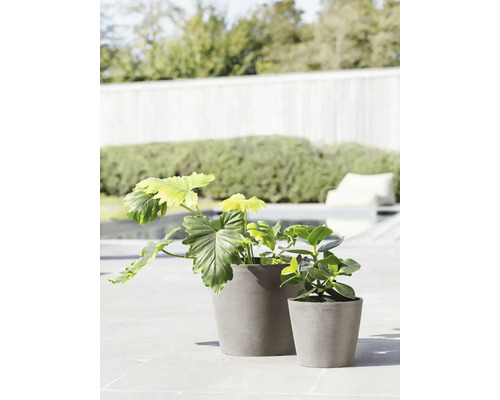 Dvě rostliny v kameninových květináčích venku