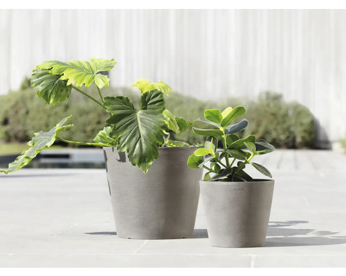 Dva šedé květináče s rostlinami