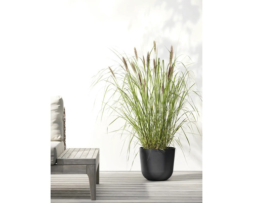 Okrasná tráva v květináči na terase s posezením