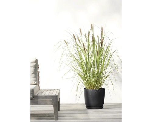 Zahrada s okrasnou trávou v květináči vedle posezení