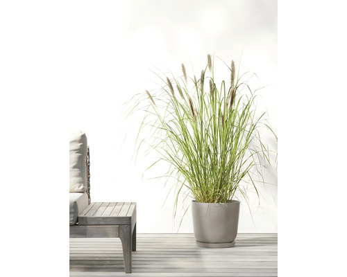 Tráva v květináči vedle zahradního stolu a lavice