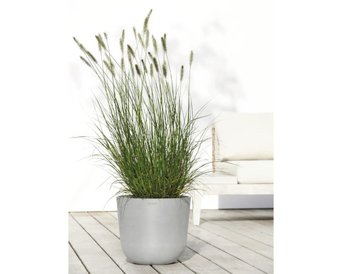 Tráva v šedém květináči pro venkovní použití