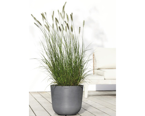 Zahradní pohled s okrasnou trávou v květináči