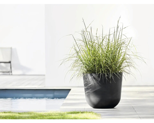 Okrasná rostlina v tmavé nádobě na rostliny u bazénu