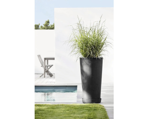 Vysoký květináč s okrasnou trávou vedle bazénu a zahradního nábytku