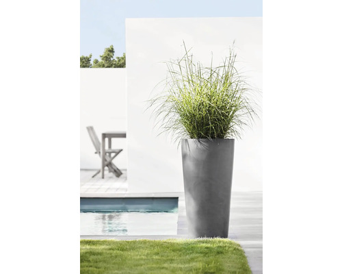 Vysoká rostlina v šedé nádobě na rostliny vedle bazénu a trávníku