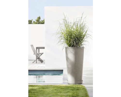 Vysoký květináč s okrasnou trávou na zahradě
