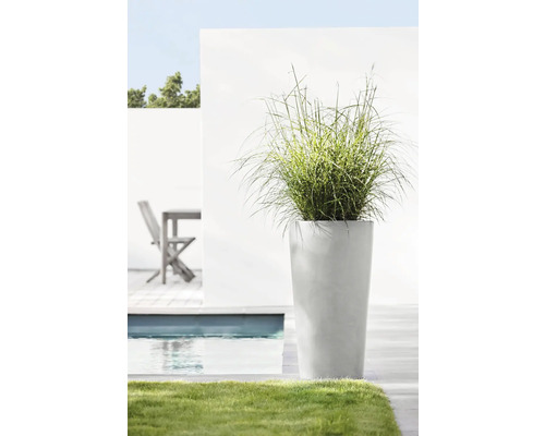 Vysoký květináč s okrasnou trávou vedle bazénu na zahradě