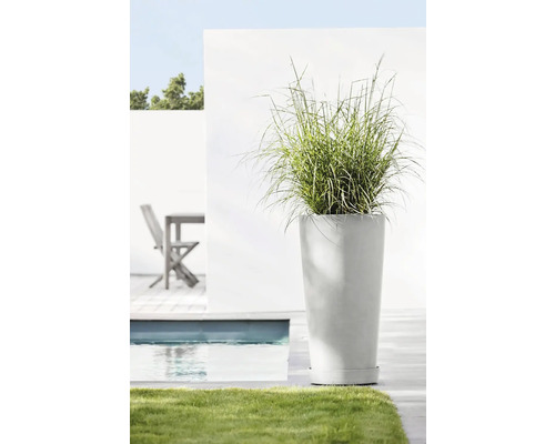 Okrasné trávy ve vysoké květináčové nádobě venku vedle bazénu.