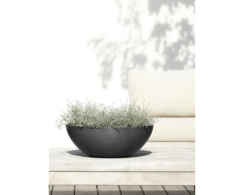 Půlkulatá rostlinná mísa s výsadbou na dřevěném stole