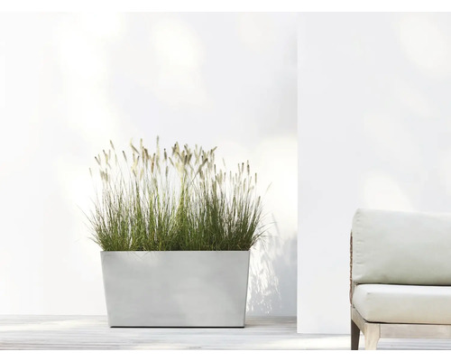 Obdélníkový květináč s okrasnou trávou vedle křesla
