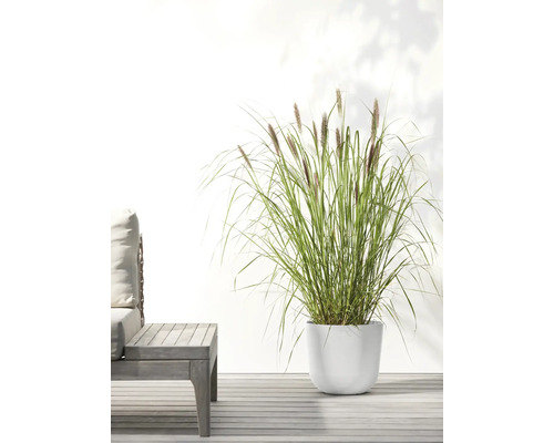 Tráva v bílé nádobě na rostliny vedle zahradního stolu na terase