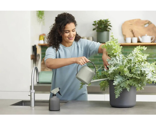 Žena zalévá rostlinu v kuchyni konví