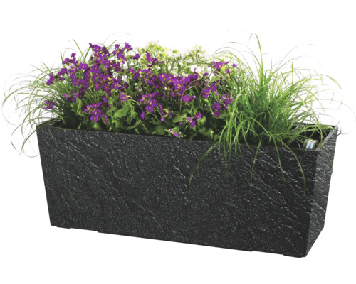 Obdélníkový květináč s fialovými a bílými květy