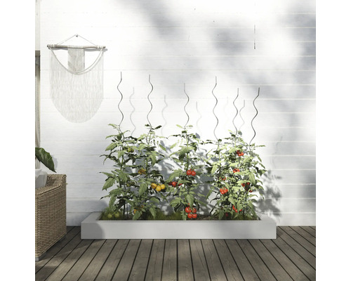 Zvýšený záhon s rostlinami rajčat a podpěrami před bílou zdí