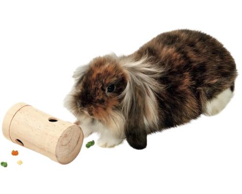 Zakrslý králík s dřevěnou hračkou na krmení