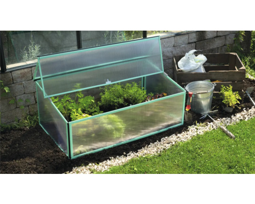 Pařeniště s rostlinami na zahradě