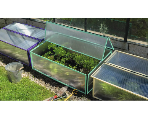 Několik plastových pařenišť s rostlinami a zahradním nářadím