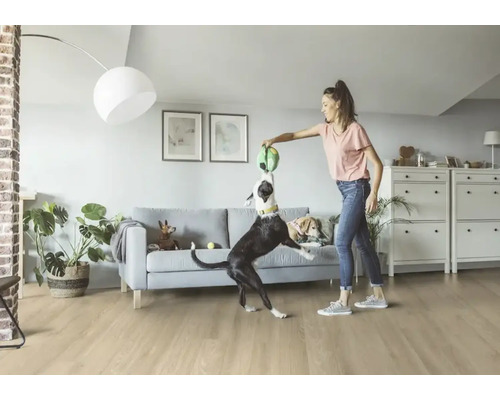 Žena si hraje se psy v obývacím pokoji s podlahou, pohovkou a úložným prostorem