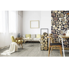 Obývací pokoj s pohovkou, stolem, židlemi, dřevěnou stěnou a regálem na palivové dřevo.