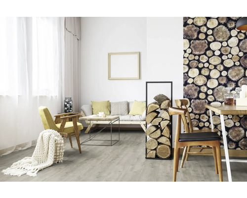 Obývací pokoj s pohovkou, stolem, židlemi, dřevěnou stěnou a regálem na palivové dřevo.