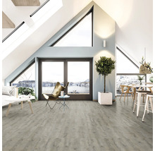 Světlý obývací pokoj s střešními okny, laminátovou podlahou, posezením a pokojovou rostlinou