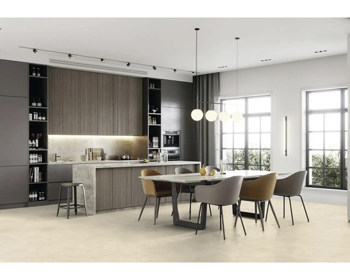 Světlá jídelna s jídelním stolem, židlemi, vestavěnou kuchyní a velkými okny.