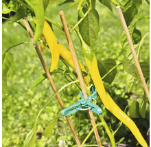 Bambusová tyč opěrná FloraSelf 40 cm