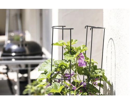 Květinový záhon s podpěrou pro popínavé rostliny a kvetoucími rostlinami