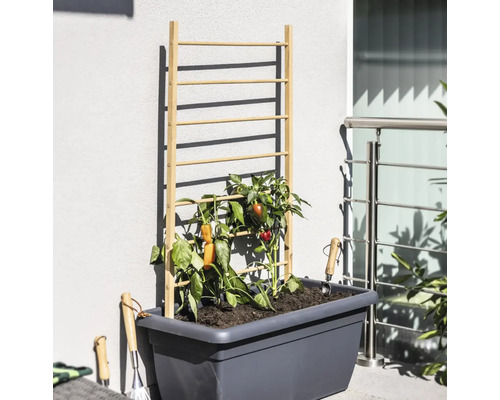 Zvýšený záhon s dřevěnou mřížovou konstrukcí a zeleninovými rostlinami a zahradní nářadí