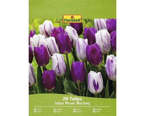 Tulipány FloraSelf 'Mosaic mix' 20 ks