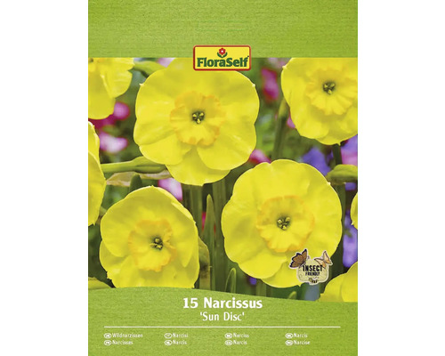 Narcisy FloraSelf 'Sun Disc' 15 ks