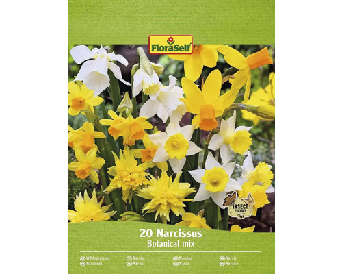 Narcisy FloraSelf 'Botanický mix' 20 ks