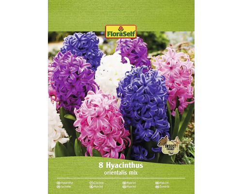 Hyacinty mix FloraSelf 14/15 8 ks