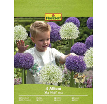 Okrasný česnek FloraSelf 'Sky High' mix 3 ks