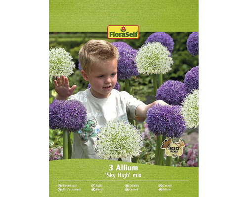 Okrasný česnek FloraSelf 'Sky High' mix 3 ks