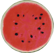 Rozkrojený vodní meloun se semínky