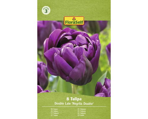Tulipány FloraSelf 'Negrita Double' 11/12 8 ks