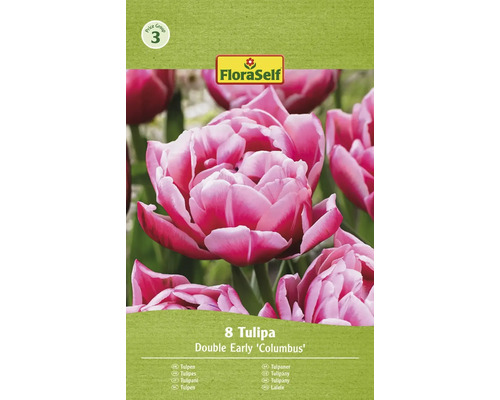 Tulipány plnokvěté FloraSelf 'Columbus' 11/12 8 ks