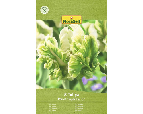 Tulipány papouškovité FloraSelf 'Super Parrot' 11/12 8 ks
