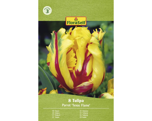 Tulipány FloraSelf 'Texas Flame' 8 ks