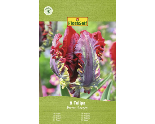 Tulipány FloraSelf 'Rococo' 8 ks