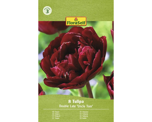 Tulipány plnokvěté FloraSelf 'Uncle Tom' 11/12 8 ks