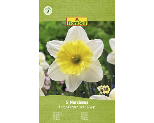 Narcisy FloraSelf 'Ice Follies' 12/14 5 ks