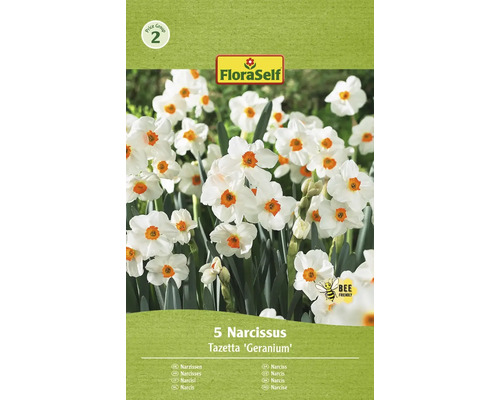 Narcisy FloraSelf 'Geranium' 5 ks