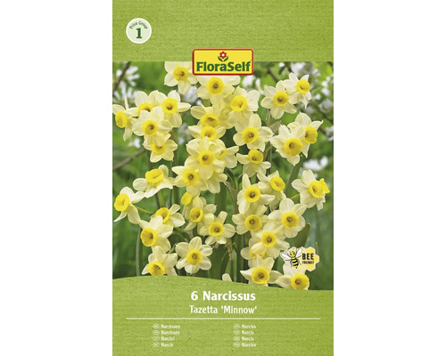 Narcisy FloraSelf 'Minnow' 10/11 6 ks